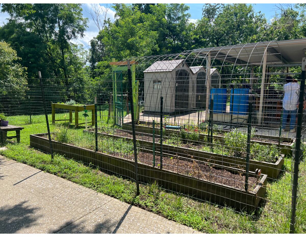 Raised vegetable beds in the outdoor garden at a special education high school